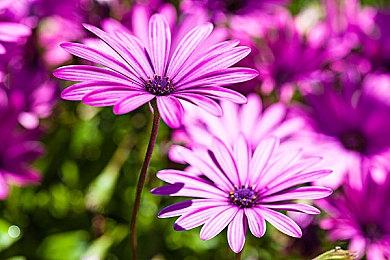 《女神异闻录4：无敌究极後桥背摔》首批媒体评分解禁 3月17日上线