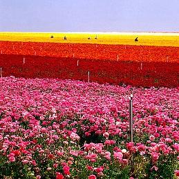 《深岩银河》PS5版独占功能公布 支持触摸板和扬声器