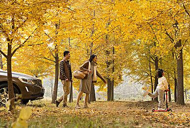 《荒野大镖客OL》血染之财新预告片 7月13日正式上线